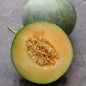 Charentais Melon