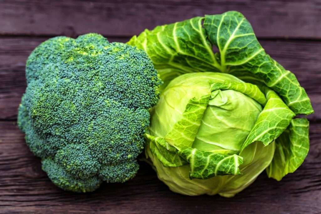 Broccoli and Cabbage Planting Guide broccoli and cabbage