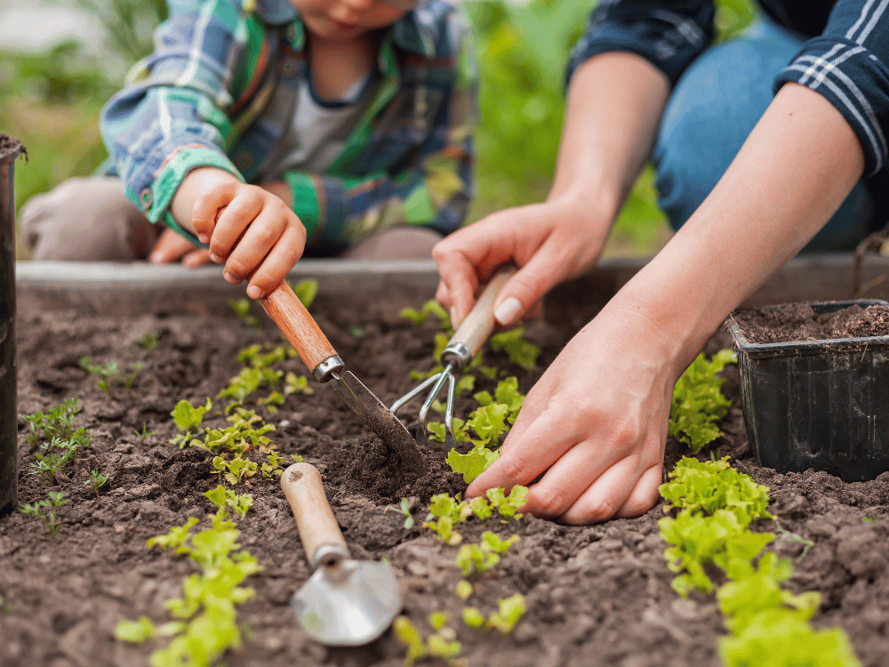 Incorporating Compost into Soil Structure