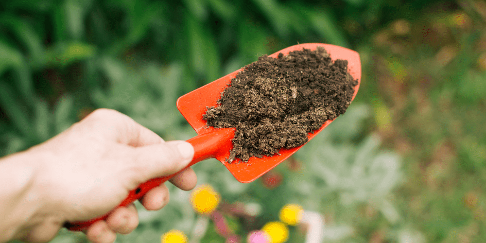 Compost Hawaiian Volcanic Organic